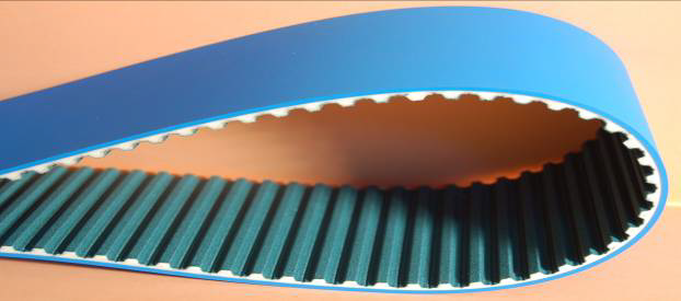 Courroie dentée 16 T10 1960 avec revêtement PAZ