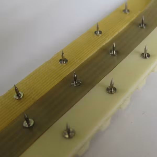 Courroie dentée à clous pour l'industrie alimentaire