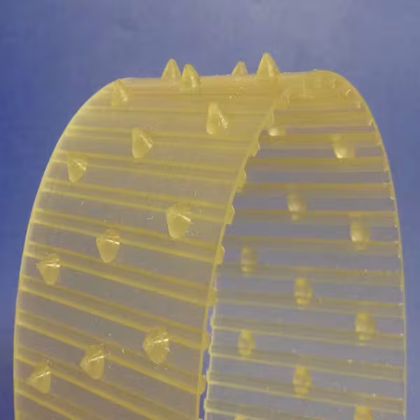 Courroie dentée à picots pour l'industrie alimentaire