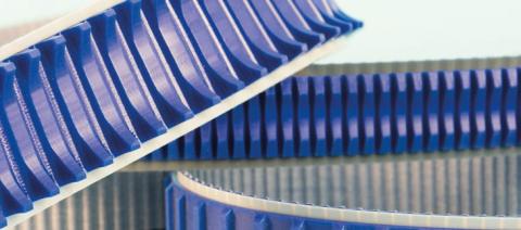 Courroie crantée alimentaire Transfood_Transport de saucisses