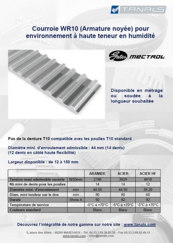 Courroie WR10 avec armature noyée