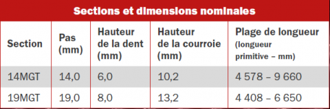 Tableau de dimensions Poly Chain GT Carbon Extended length